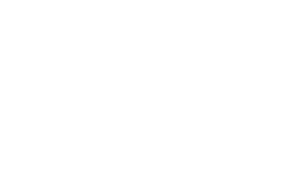 Instituto Intrepidus